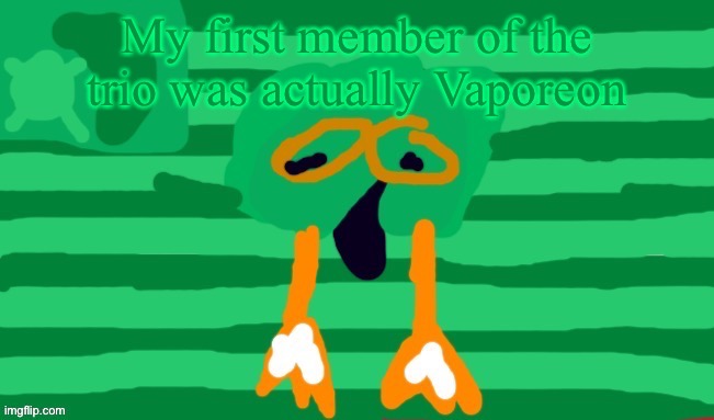 Decidueye Gang Official Flag | My first member of the trio was actually Vaporeon | image tagged in decidueye gang official flag | made w/ Imgflip meme maker