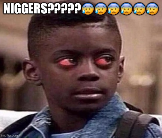 High | NIG‎GERS?????😰😰😰😰😰😰 | image tagged in high kid | made w/ Imgflip meme maker