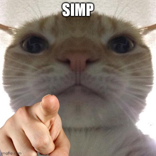 Cat point at you | SIMP | image tagged in cat point at you | made w/ Imgflip meme maker