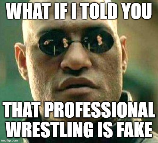 MMA Fans Are Also Total Idiots |  WHAT IF I TOLD YOU; THAT PROFESSIONAL WRESTLING IS FAKE | image tagged in what if i told you,pro wrestling,mindblown,perception,consciousness,awareness | made w/ Imgflip meme maker