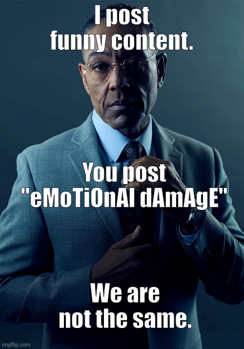 Its not funny | I post funny content. You post "eMoTiOnAl dAmAgE"; We are not the same. | image tagged in we are not the same | made w/ Imgflip meme maker