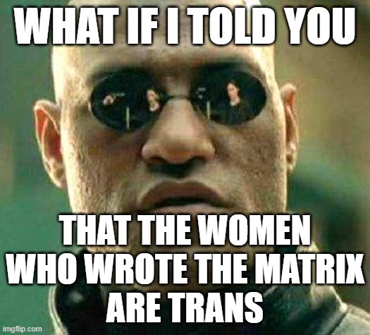 A Red Pill For The "Red Pill" Crowd | WHAT IF I TOLD YOU; THAT THE WOMEN WHO WROTE THE MATRIX
ARE TRANS | image tagged in what if i told you,red pill,transphobic,transgender,alt right,fascists | made w/ Imgflip meme maker