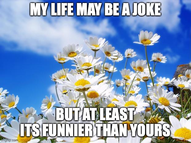spring daisy flowers | MY LIFE MAY BE A JOKE; BUT AT LEAST ITS FUNNIER THAN YOURS | made w/ Imgflip meme maker