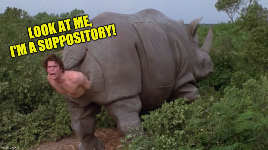 Ace Ventura rhino | LOOK AT ME, I'M A SUPPOSITORY! | image tagged in ace ventura rhino | made w/ Imgflip meme maker