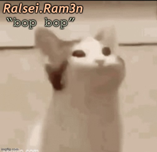 High Quality bop cat Blank Meme Template