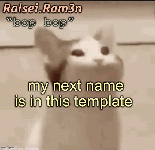 bop cat | my next name is in this template | image tagged in bop cat | made w/ Imgflip meme maker