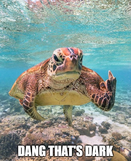 Grumpy Sea Turtle | DANG THAT'S DARK | image tagged in grumpy sea turtle | made w/ Imgflip meme maker