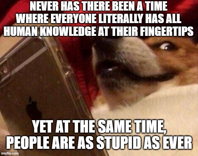 Dog phone | NEVER HAS THERE BEEN A TIME WHERE EVERYONE LITERALLY HAS ALL HUMAN KNOWLEDGE AT THEIR FINGERTIPS YET AT THE SAME TIME, PEOPLE ARE AS STUPID  | image tagged in dog phone | made w/ Imgflip meme maker