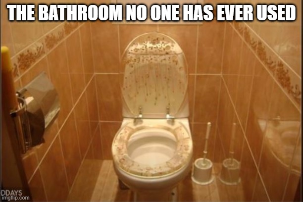 Lovely Decor | THE BATHROOM NO ONE HAS EVER USED | image tagged in you had one job | made w/ Imgflip meme maker
