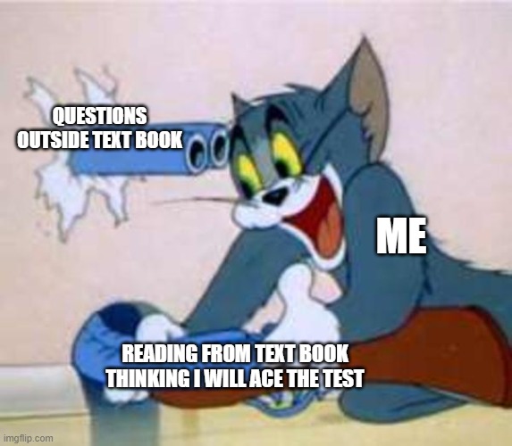 tom the cat shooting himself  | QUESTIONS OUTSIDE TEXT BOOK; ME; READING FROM TEXT BOOK THINKING I WILL ACE THE TEST | image tagged in tom the cat shooting himself | made w/ Imgflip meme maker