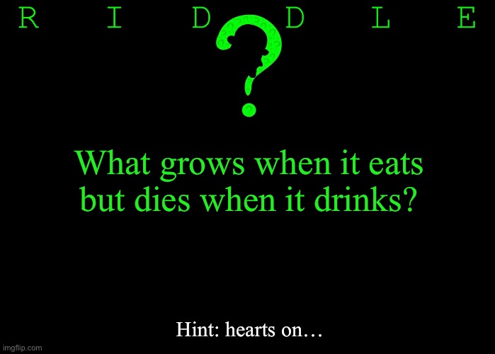 Riddle #33 (Three upvotes to the first correct answer posted in comments.) |  What grows when it eats but dies when it drinks? Hint: hearts on… | image tagged in memes,riddles and brainteasers | made w/ Imgflip meme maker