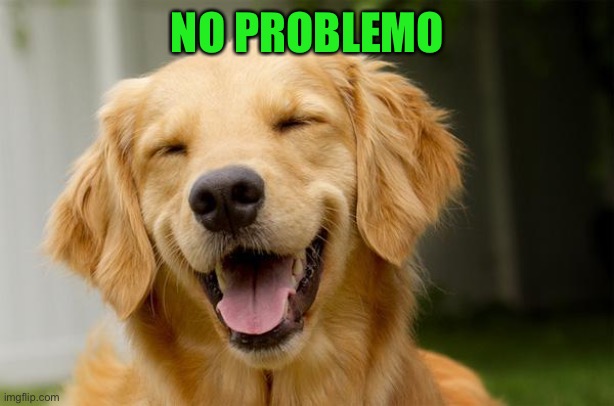 Happy Dog | NO PROBLEMO | image tagged in happy dog | made w/ Imgflip meme maker