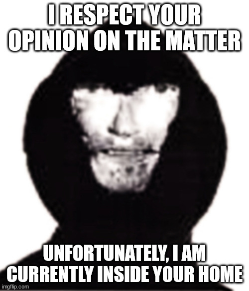 An intruder | I RESPECT YOUR OPINION ON THE MATTER; UNFORTUNATELY, I AM CURRENTLY INSIDE YOUR HOME | image tagged in an intruder | made w/ Imgflip meme maker