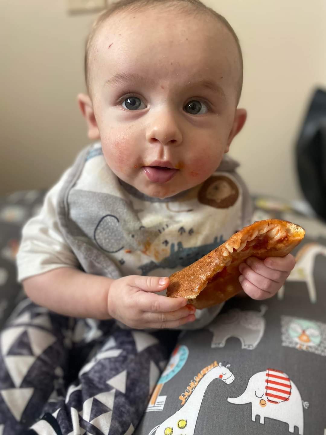 High Quality Pizza Baby Blank Meme Template
