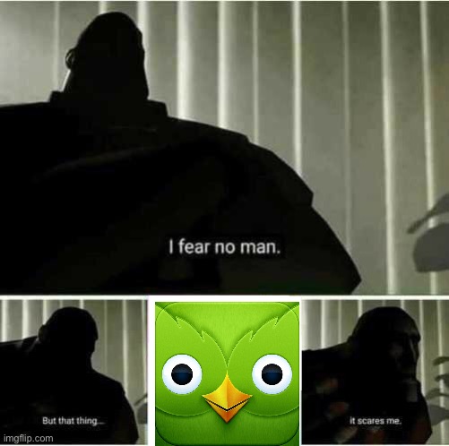 I fear no man | image tagged in i fear no man,duolingo,duolingo bird,duolingo gun | made w/ Imgflip meme maker