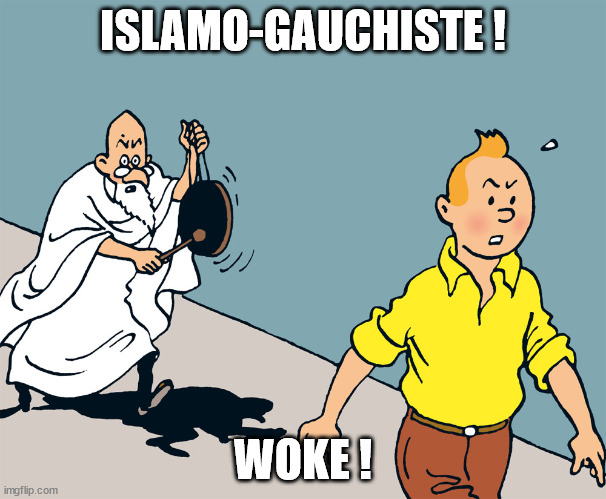 Tintin fou | ISLAMO-GAUCHISTE ! WOKE ! | image tagged in tintin fou | made w/ Imgflip meme maker