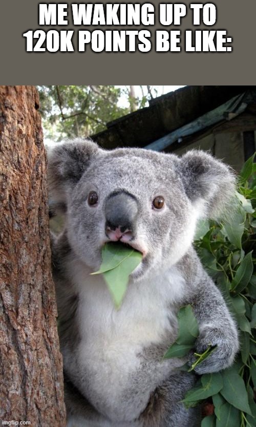 thank y'all fam | ME WAKING UP TO 120K POINTS BE LIKE: | image tagged in memes,surprised koala | made w/ Imgflip meme maker
