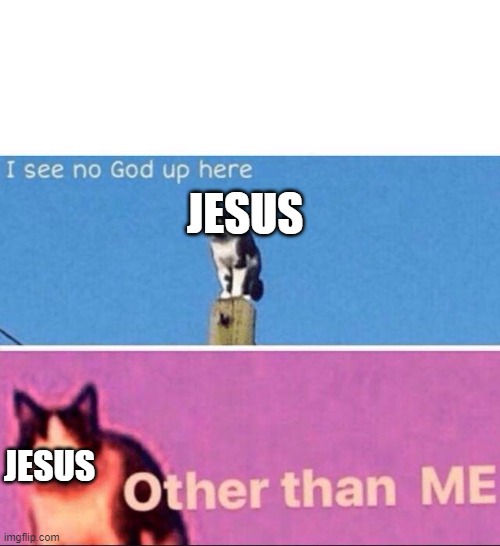 I see no god up here | JESUS; JESUS | image tagged in i see no god up here | made w/ Imgflip meme maker