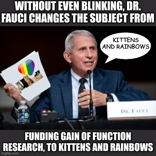 Fast-One-Fauci | WITHOUT EVEN BLINKING, DR. FAUCI CHANGES THE SUBJECT FROM; KITTENS AND RAINBOWS; FUNDING GAIN OF FUNCTION RESEARCH, TO KITTENS AND RAINBOWS | image tagged in fauci blank paper | made w/ Imgflip meme maker