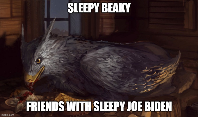 Buckbeak | SLEEPY BEAKY; FRIENDS WITH SLEEPY JOE BIDEN | image tagged in buckbeak | made w/ Imgflip meme maker