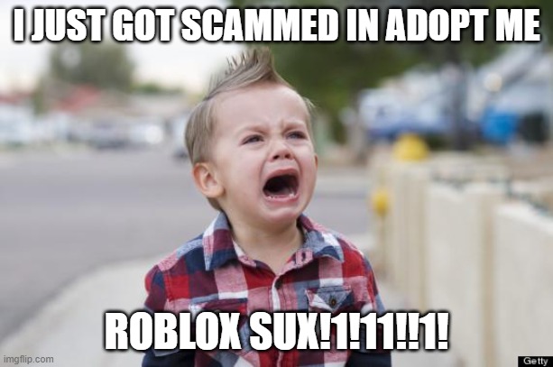 scammed | I JUST GOT SCAMMED IN ADOPT ME; ROBLOX SUX!1!11!!1! | image tagged in scam,crying kid,meme | made w/ Imgflip meme maker