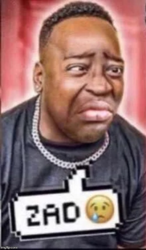 when bluehonu and kara only ever talk to your joke alts | image tagged in zad | made w/ Imgflip meme maker