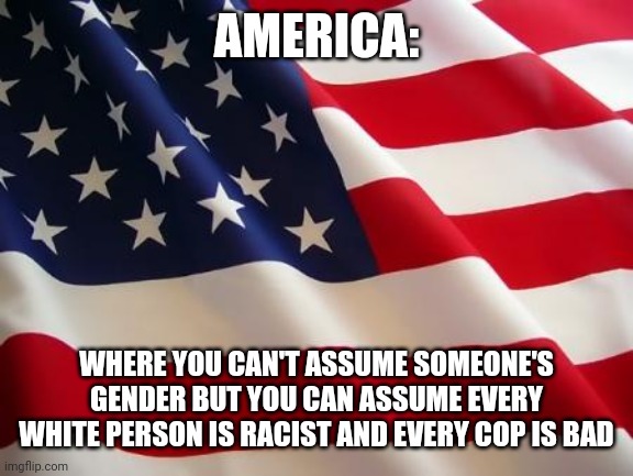 American flag | AMERICA:; WHERE YOU CAN'T ASSUME SOMEONE'S GENDER BUT YOU CAN ASSUME EVERY WHITE PERSON IS RACIST AND EVERY COP IS BAD | image tagged in american flag | made w/ Imgflip meme maker