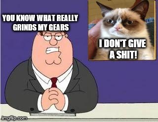 grumpy cat ft mr griffin | I DON'T GIVE A SHIT! YOU KNOW WHAT REALLY GRINDS MY GEARS | image tagged in you know what grinds my gears,grumpy cat | made w/ Imgflip meme maker