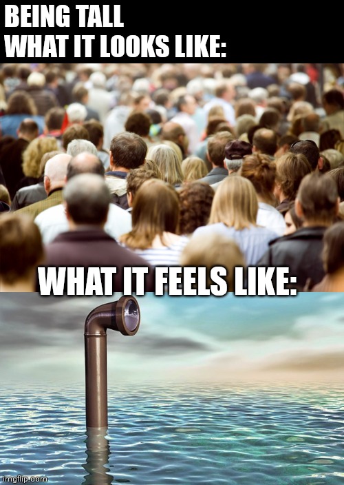Being tall, it's great | BEING TALL
WHAT IT LOOKS LIKE:; WHAT IT FEELS LIKE: | image tagged in tall,great,life is good | made w/ Imgflip meme maker