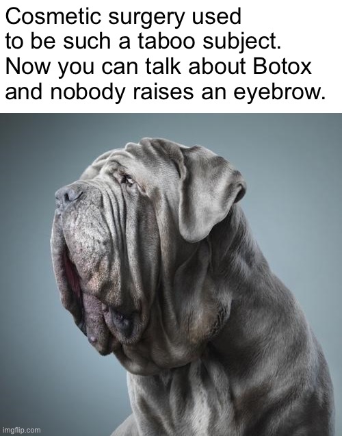 She’s smiling. But, you can’t tell. | Cosmetic surgery used to be such a taboo subject. Now you can talk about Botox and nobody raises an eyebrow. | image tagged in funny memes,bad jokes,eyeroll | made w/ Imgflip meme maker