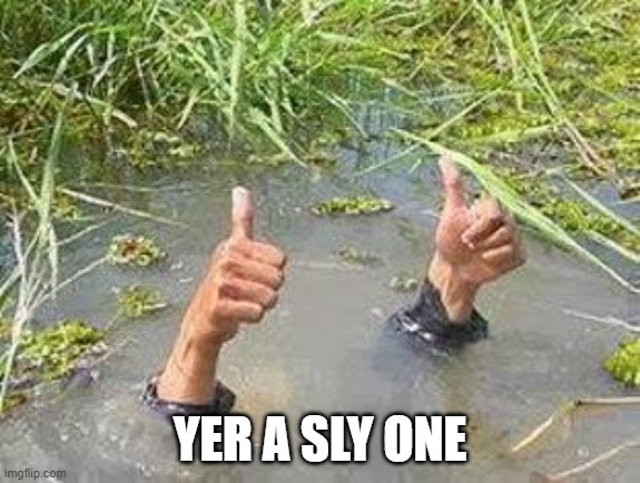 FLOODING THUMBS UP | YER A SLY ONE | image tagged in flooding thumbs up | made w/ Imgflip meme maker