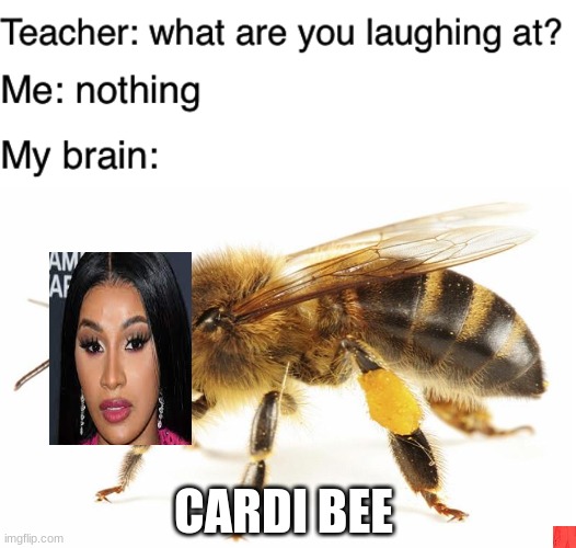 CARDI BEE | image tagged in teacher what are you laughing at | made w/ Imgflip meme maker
