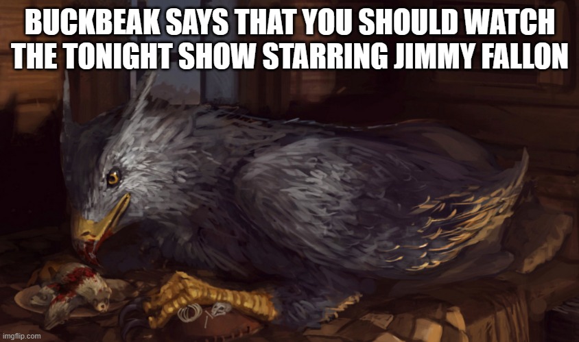 Buckbeak | BUCKBEAK SAYS THAT YOU SHOULD WATCH THE TONIGHT SHOW STARRING JIMMY FALLON | image tagged in buckbeak | made w/ Imgflip meme maker