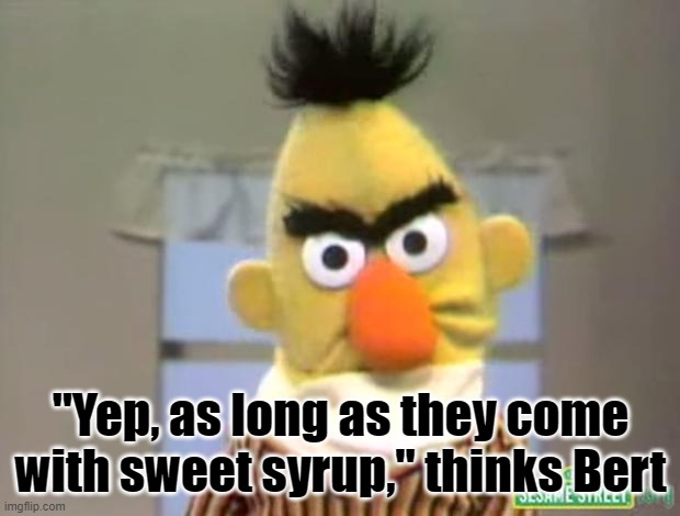 Sesame Street - Angry Bert | "Yep, as long as they come with sweet syrup," thinks Bert | image tagged in sesame street - angry bert | made w/ Imgflip meme maker