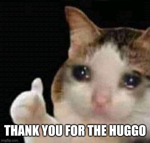 sad thumbs up cat | THANK YOU FOR THE HUGGO | image tagged in sad thumbs up cat | made w/ Imgflip meme maker