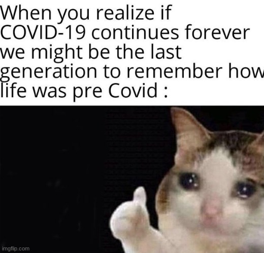 Lets hope for the best | image tagged in coronavirus,memes,sad,sad cat,cats | made w/ Imgflip meme maker