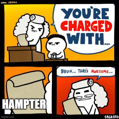 cool crimes | HAMPTER | image tagged in cool crimes | made w/ Imgflip meme maker