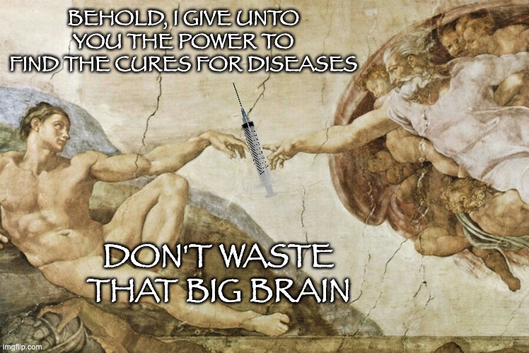 Use what you have | BEHOLD, I GIVE UNTO YOU THE POWER TO FIND THE CURES FOR DISEASES; DON'T WASTE THAT BIG BRAIN | image tagged in creation of adam,god,vaccine,health,brain | made w/ Imgflip meme maker