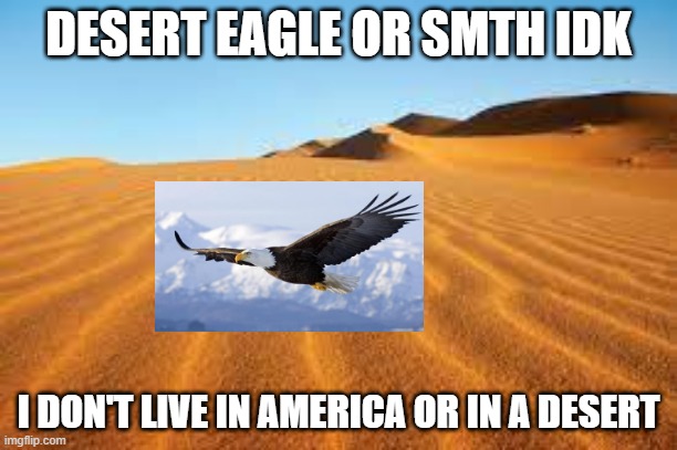 Desert eagle | DESERT EAGLE OR SMTH IDK; I DON'T LIVE IN AMERICA OR IN A DESERT | made w/ Imgflip meme maker