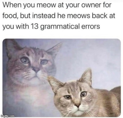 . | made w/ Imgflip meme maker