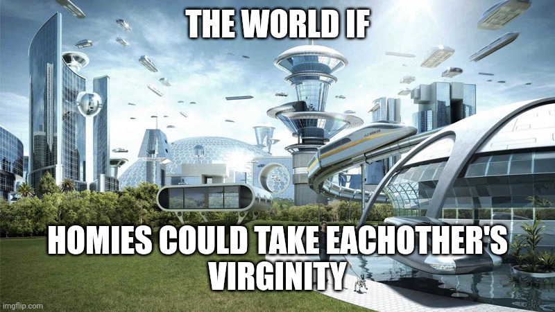 Just say no homo | THE WORLD IF; HOMIES COULD TAKE EACHOTHER'S
VIRGINITY | image tagged in the future world if | made w/ Imgflip meme maker