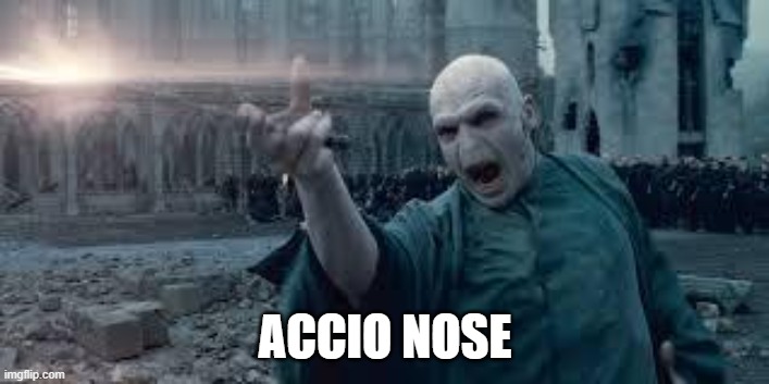 Voldemort | ACCIO NOSE | image tagged in voldemort | made w/ Imgflip meme maker