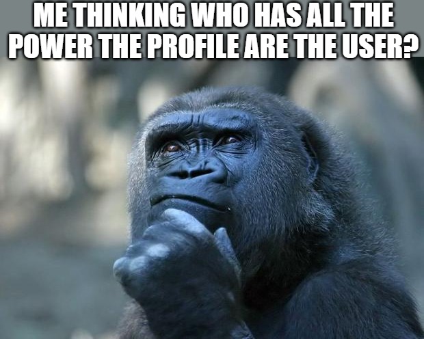 serious question!!! | ME THINKING WHO HAS ALL THE POWER THE PROFILE ARE THE USER? | image tagged in deep thoughts,gorilla | made w/ Imgflip meme maker