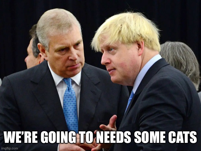 Boris and Andrew need a dead cat fast | WE’RE GOING TO NEEDS SOME CATS | image tagged in prince andrew,boris johnson,scandal,dead cat | made w/ Imgflip meme maker
