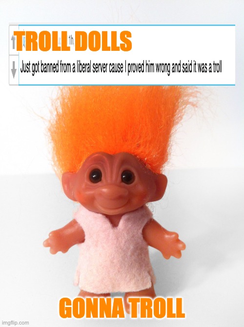 Winning is hard. Sometimes you just have to give up and hand yourself a trophy | TROLL DOLLS; GONNA TROLL | image tagged in troll doll,right wing,wrong,winning,troll | made w/ Imgflip meme maker