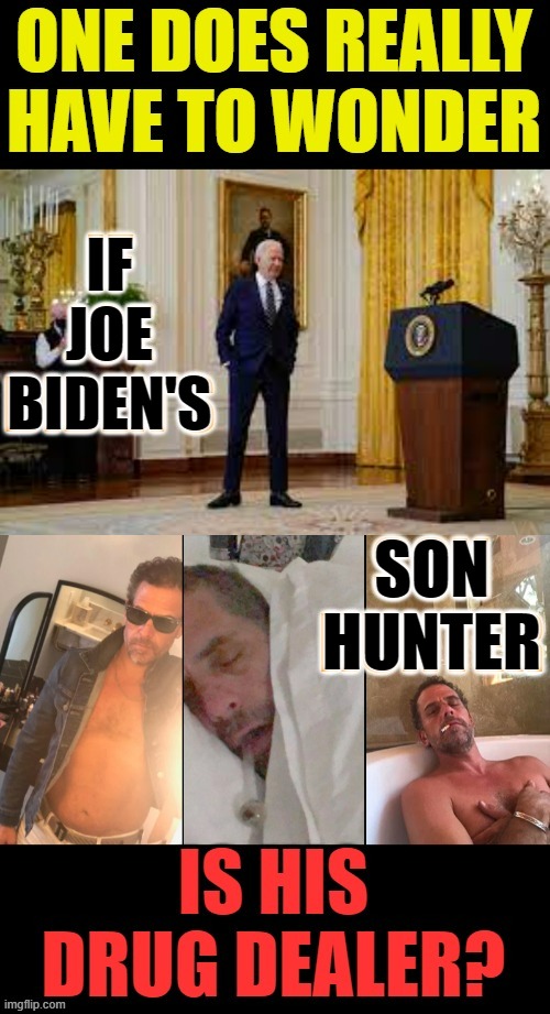 It Would Explain The Confusion |  IF JOE BIDEN'S; SON HUNTER | image tagged in memes,politics,hunter,joe biden,drug dealer,explains a lot | made w/ Imgflip meme maker