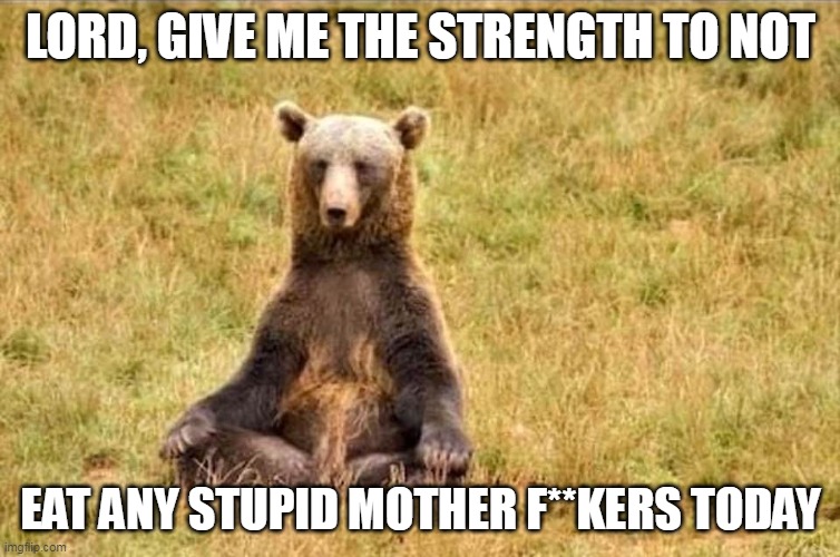 Stressed out Bear | LORD, GIVE ME THE STRENGTH TO NOT; EAT ANY STUPID MOTHER F**KERS TODAY | image tagged in funny memes,funny animals,funny animal memes | made w/ Imgflip meme maker