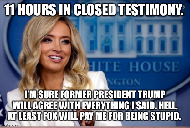 Kayleigh McEnany | 11 HOURS IN CLOSED TESTIMONY. I’M SURE FORMER PRESIDENT TRUMP WILL AGREE WITH EVERYTHING I SAID. HELL, AT LEAST FOX WILL PAY ME FOR BEING STUPID. | image tagged in kayleigh mcenany | made w/ Imgflip meme maker
