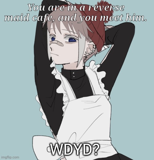 Yea–i got the idea of reverse maid cafe with a slightly punk boi (no erp) |  You are in a reverse maid cafe, and you meet him. WDYD? | image tagged in rp | made w/ Imgflip meme maker