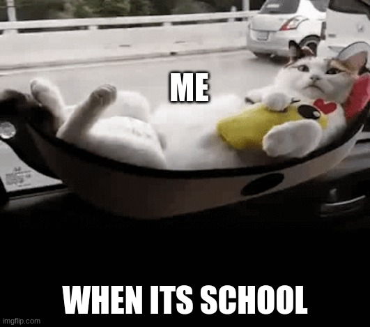 me when its school | ME; WHEN ITS SCHOOL | image tagged in lazy cat | made w/ Imgflip meme maker